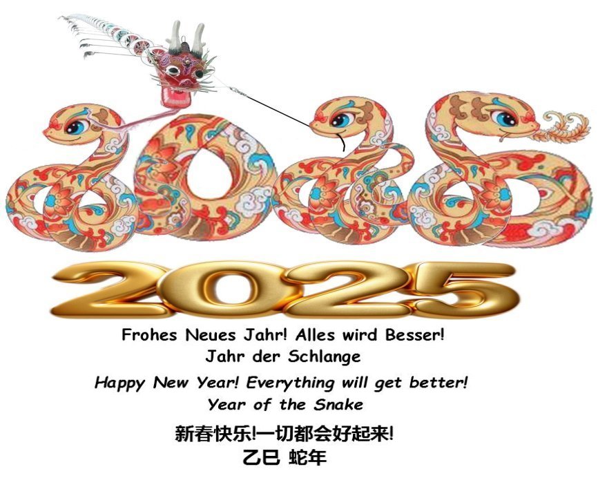 Year of the
                              Snake 2025