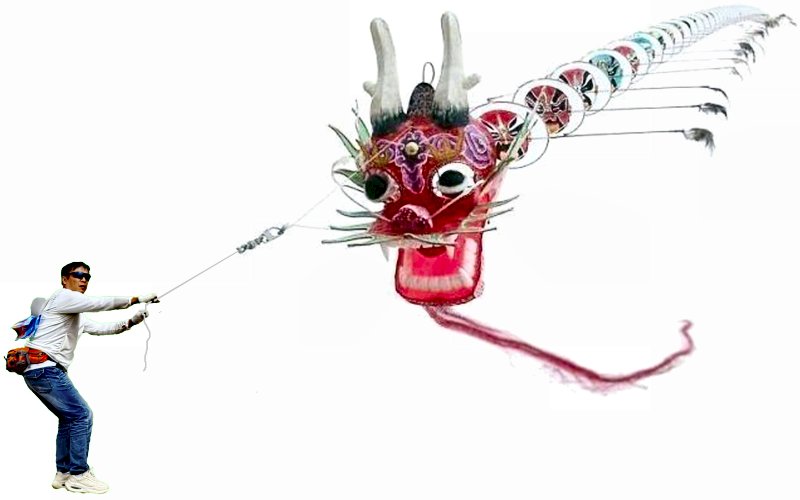 YangYang flies the Chinakites
                                    Logo-Centipede
