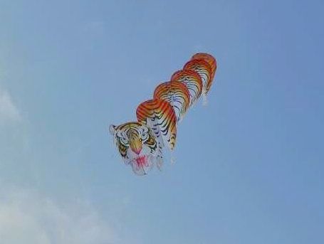HUANG
                    YunFen's well known Tiger