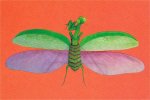 Weifangs Drachen (1990) Weifangs Kites