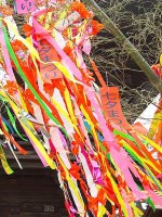 Tanabata
                  Decoration